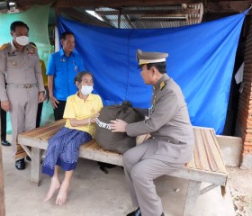 พระบาทสมเด็จพระเจ้าอยู่หัว ทรงพระกรุณาโปรดเกล้าโปรดกระหม่อม ... พารามิเตอร์รูปภาพ 8