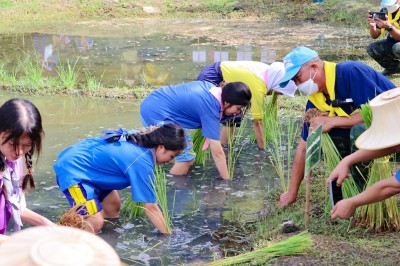 มูลนิธิราชประชานุเคราะห์ฯ ... พารามิเตอร์รูปภาพ 1