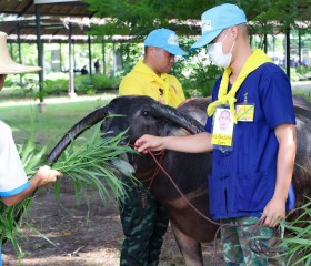 มูลนิธิราชประชานุเคราะห์ฯ ... พารามิเตอร์รูปภาพ 8