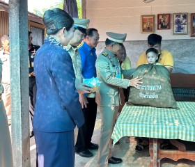 พระบาทสมเด็จพระเจ้าอยู่หัว ทรงพระกรุณาโปรดเกล้าฯ ให้ พลเอก ... พารามิเตอร์รูปภาพ 15