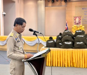 พระบาทสมเด็จพระเจ้าอยู่หัว ... พารามิเตอร์รูปภาพ 5