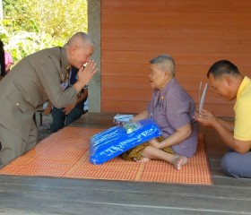 พระบาทสมเด็จพระเจ้าอยู่หัว ... พารามิเตอร์รูปภาพ 11