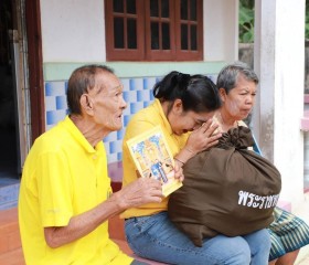 พระบาทสมเด็จพระเจ้าอยู่หัว ... พารามิเตอร์รูปภาพ 8