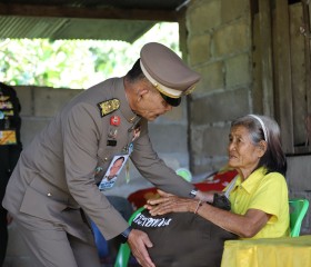 พระบาทสมเด็จพระเจ้าอยู่หัว ... พารามิเตอร์รูปภาพ 13