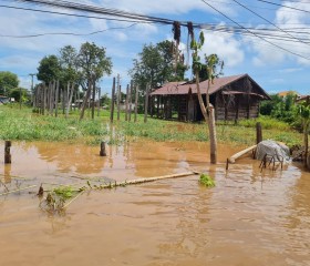 พระบาทสมเด็จพระเจ้าอยู่หัว ทรงพระกรุณาโปรดเกล้าฯ ให้ ... พารามิเตอร์รูปภาพ 19