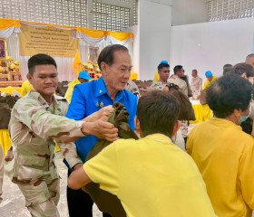 พระบาทสมเด็จพระเจ้าอยู่หัว ทรงพระกรุณาโปรดเกล้าฯ ให้ พลเอก ... พารามิเตอร์รูปภาพ 11