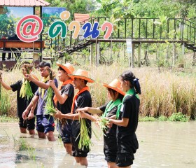 มูลนิธิราชประชานุเคราะห์ ในพระบรมราชูปถัมภ์ ... พารามิเตอร์รูปภาพ 61