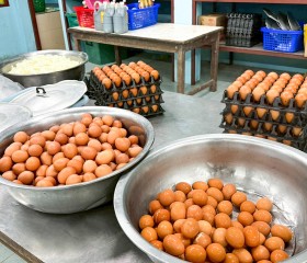 มูลนิธิราชประชานุเคราะห์ฯ ... พารามิเตอร์รูปภาพ 5