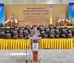 พระบาทสมเด็จพระเจ้าอยู่หัว ... พารามิเตอร์รูปภาพ 21