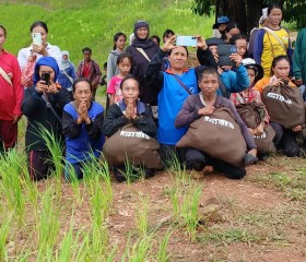 พระบาทสมเด็จพระเจ้าอยู่หัว ทรงพระกรุณาโปรดเกล้าโปรดกระหม่อม ... พารามิเตอร์รูปภาพ 5