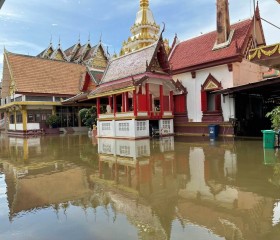 พระบาทสมเด็จพระเจ้าอยู่หัว และสมเด็จพระนางเจ้าฯ ... พารามิเตอร์รูปภาพ 1
