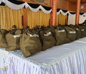 พระบาทสมเด็จพระเจ้าอยู่หัว และสมเด็จพระนางเจ้าฯ ... พารามิเตอร์รูปภาพ 21