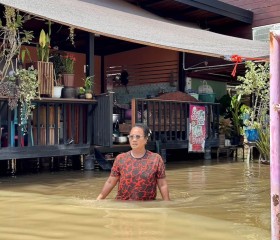 พระบาทสมเด็จพระเจ้าอยู่หัว ... พารามิเตอร์รูปภาพ 16