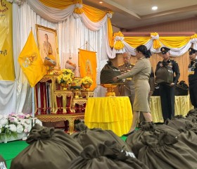 พระบาทสมเด็จพระเจ้าอยู่หัว ... พารามิเตอร์รูปภาพ 27
