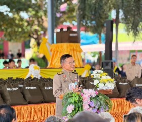 พระบาทสมเด็จพระเจ้าอยู่หัว ... พารามิเตอร์รูปภาพ 4