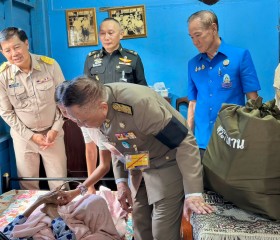 พระบาทสมเด็จพระเจ้าอยู่หัว ... พารามิเตอร์รูปภาพ 2