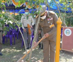 นายพลากร สุวรรณรัฐ องคมนตรี มอบถุงพระราชทานให้แก่ราษฎร ... พารามิเตอร์รูปภาพ 19