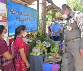 นายพลากร สุวรรณรัฐ องคมนตรี มอบถุงพระราชทานให้แก่ราษฎร ... พารามิเตอร์รูปภาพ 11